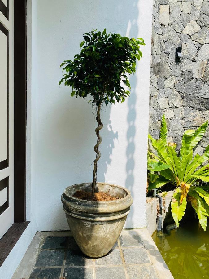 Thaprobana Villa Tangalle - Private Villa Extérieur photo